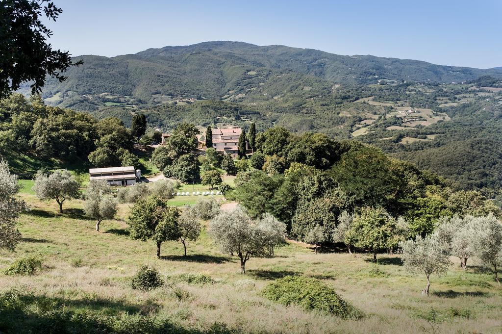Agriturismo Di Baroni Enzo Dicomano Exteriör bild